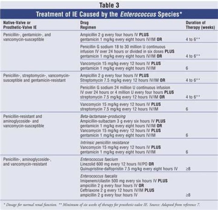 Which one of the following is the best combination of antibiotics to treat endocarditis caused by Enterococcus faecalis?