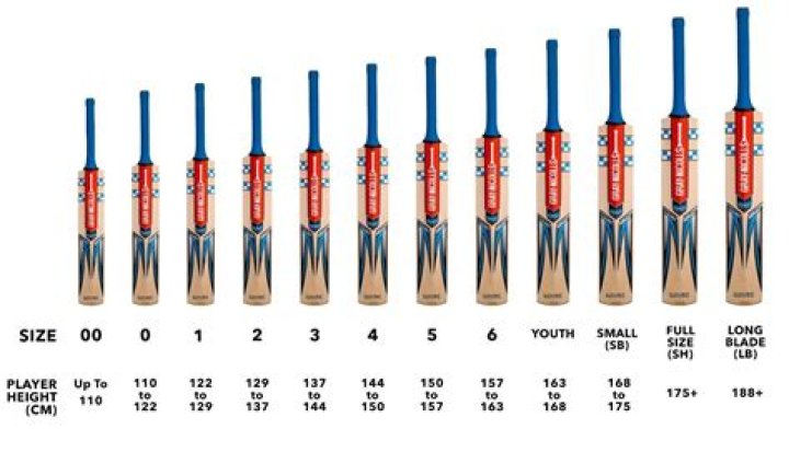 Which size is best for cricket bat?