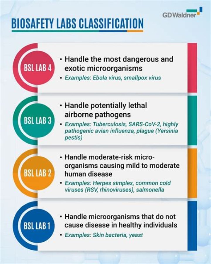Who BSL-2 requirements?