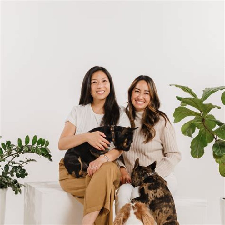 Who created Pet Society?
