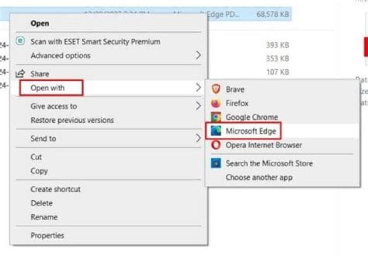 Why am I getting an error message when I try to open a PDF file?