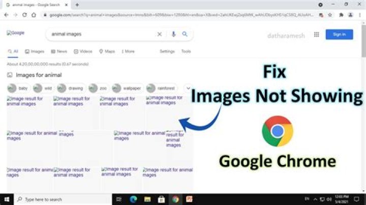 Why is Google not showing all images?